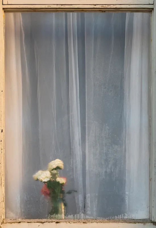 Wellington Terrace, Falmouth. 2021.